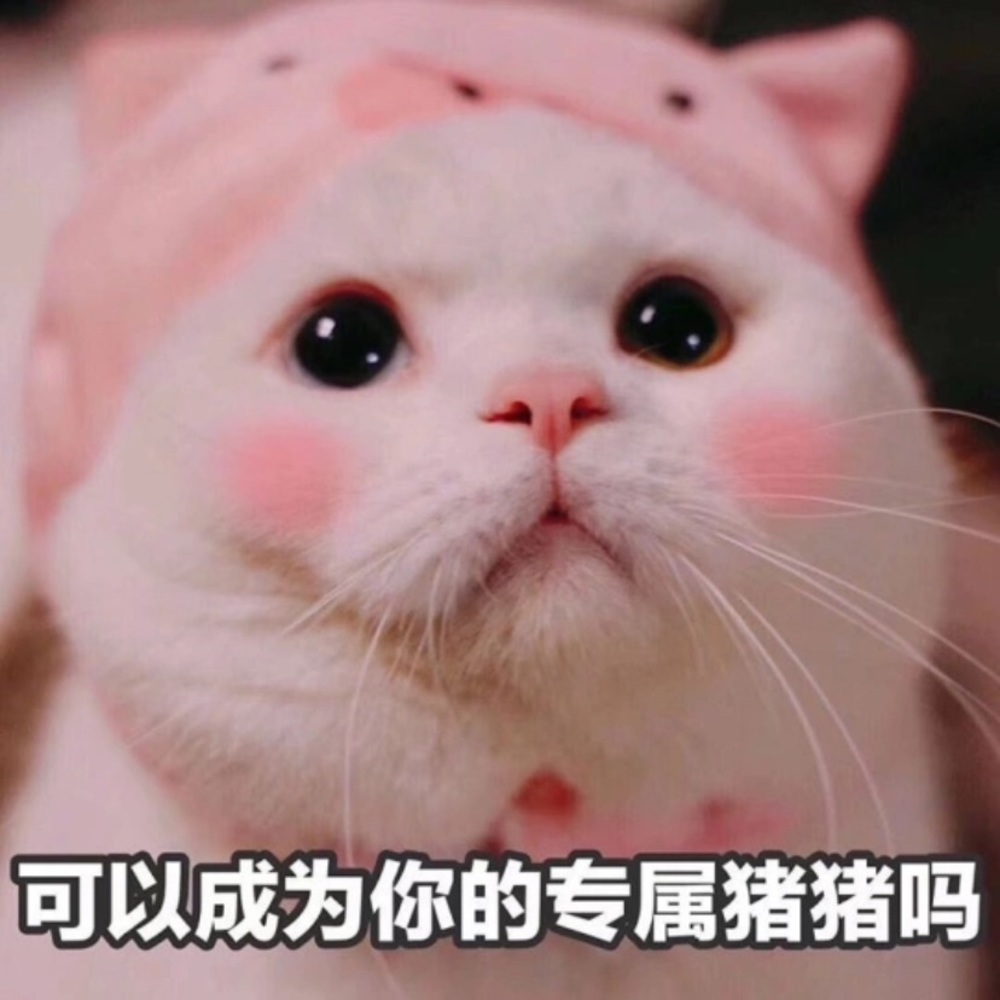 Meet your Posher, 一一